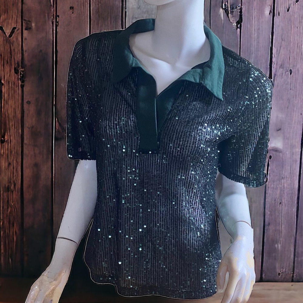 ❄️ 50% off winter Robertson & Rodeo sequin collar sheer holiday top M/L